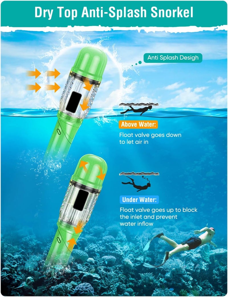 Seovediary Snorkel Set Adults Snorkeling Gear Anti-Fog Panoramic View Swim Mask Dry Top Snorkel Kit with Carry Bag for Snorkeling Scuba Diving Swimming Travel - Image 5